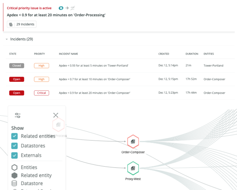Shows screen with priority issues, and whether they are high or critical, and shows related entities for correlation.