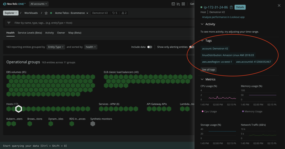 View of tags in righthand pane of New Relic One Explorer view.