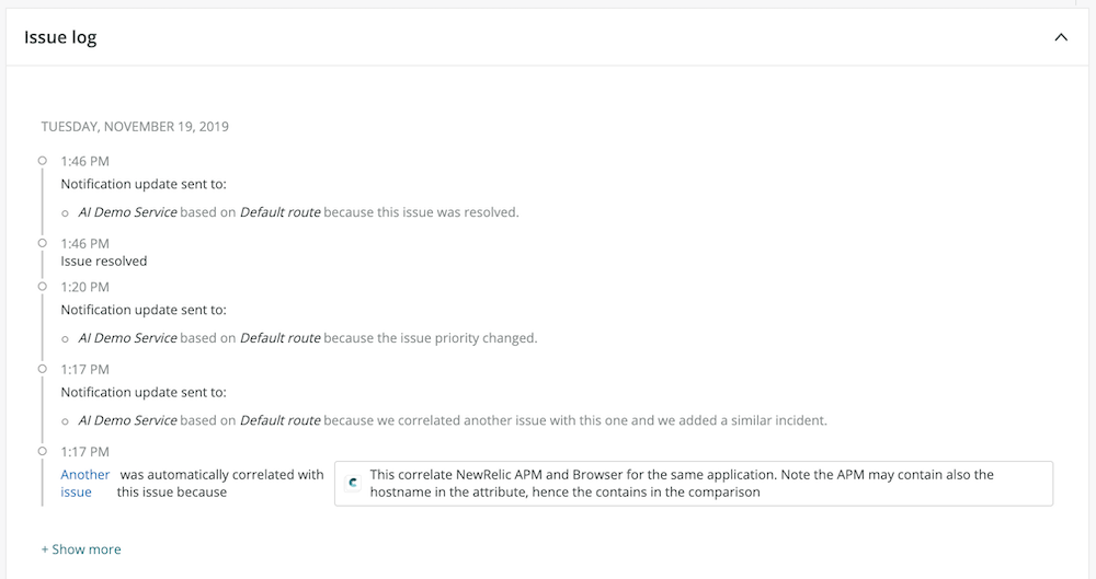 issue log example