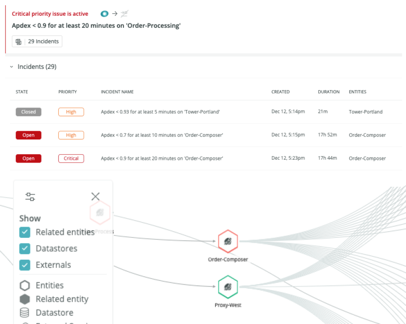 Shows screen with priority issues, and whether they are high or critical, and shows related entities for correlation. 