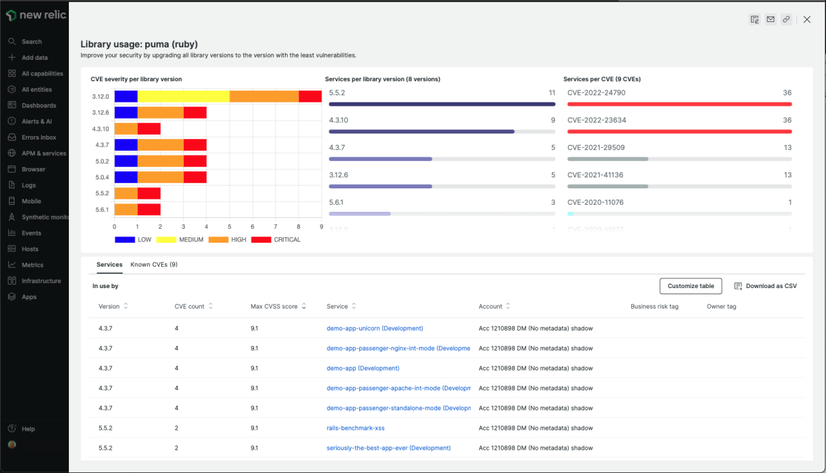 Dashboard of CVEs and libraries for a Ruby application.