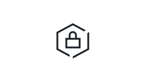 Security icon